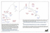 sto148 nancy milford_thumb.gif